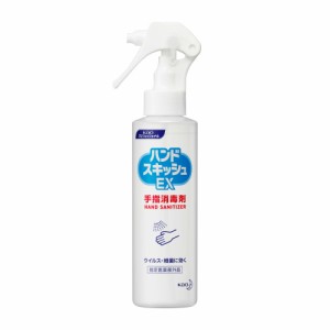 ハンドスキッシュEXスプレー業務用150ML × 24点[倉庫区分NO]