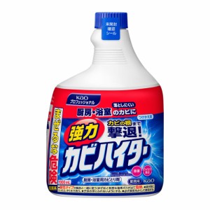 強力カビハイター業務用つけかえ用1000ML × 6点[倉庫区分NO]