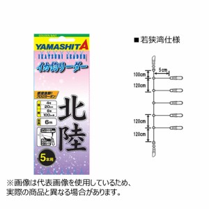 ヤマシタ イカ釣リーダー若狭5本用 4-5-7m 587-807 (スッテ　リーダー)