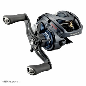 ダイワ 21 スティーズA TW HLC 8.1R 右ハンドル (ベイトリール)【送料無料】