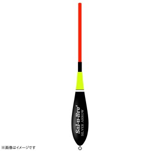 ソルトブレイクジャパン ソルブレ シルバーアロー 100 (フカセ釣り ウキ 磯釣り)