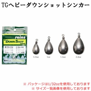 レイン タングステンヘビーダウンショット (ワームシンカー オモリ) 1/2oz