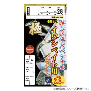 ハヤブサ 極落込スペシャル イワシベイト用 4本鈎 2.8m 8-8 魚矢オリジナル T04170B8 (胴突仕掛け 釣り)