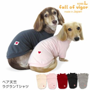 ベア天竺ラグランTシャツ(ダックス・小型犬用)