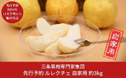 【ふるさと納税】先行予約 ル レクチェ 自家用 約3kg (5〜11玉)  [11月下旬から発送予定] 洋梨 JGAP認証農場 幻の西洋梨 新潟県 三条市産