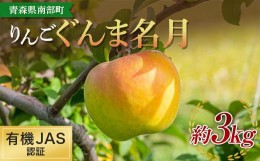 【ふるさと納税】有機JAS認証 りんご ぐんま名月 約3kg 【和楽堂りんご養生農苑】 青森りんご リンゴ 林檎 アップル あおもり 青森 青森