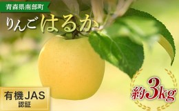 【ふるさと納税】有機JAS認証 りんご はるか 約3kg 【和楽堂りんご養生農苑】青森りんご リンゴ 林檎 アップル あおもり 青森 青森県 南