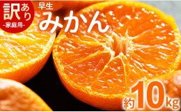 【ふるさと納税】家庭用 訳あり 早生みかん 約10kg - 家庭用 フルーツ みかん 柑橘 be-0028