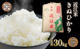 【ふるさと納税】玄米 30kg  米粉 200g付 近江米 きぬひかり 令和5年産 国産米 こめ 米 おこめ お米 ごはん ご飯 御飯 国産 滋賀県産 竜