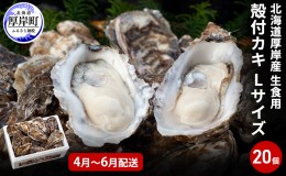 【ふるさと納税】2025年4月〜6月配送 厚岸産　殻付カキ Lサイズ20個（生食用）牡蠣