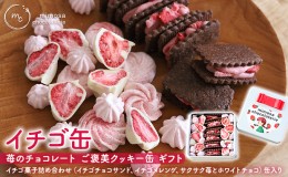 【ふるさと納税】イチゴ缶 苺のチョコレート ご褒美クッキー缶 ギフト