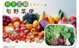 【ふるさと納税】CU-131　野菜王国なめがたの旬野菜便（さつまいも入り）