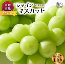 【ふるさと納税】【産地直送】山梨県産：シャインマスカット　1.3〜1.5箱(2〜3房)　ないとうぶどうファーム 【5839-1926】