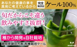 【ふるさと納税】手軽に野菜摂取!＜ 無添加 ケール まるごと 100% 青汁ジュース 原材料 静岡県磐田市産 有機栽培 ＞ 冷凍 _ 青汁 ケール