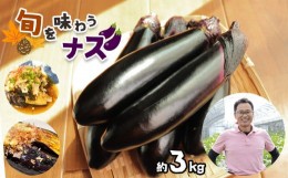 【ふるさと納税】【定期便3回】旬を味わうナス 約3kg