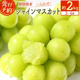 【ふるさと納税】＜期間限定＞宮崎県産 シャインマスカット 約2kg（3〜6房）［先行予約］【C245-2024】