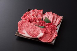 【ふるさと納税】DV088_佐賀県産牛 焼肉セット計550g(5種)