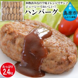 【ふるさと納税】AE233ジューシーでおいしい！ハンバーグ　2.4kg（120g×20個）