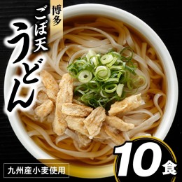 【ふるさと納税】ZF079.博多ごぼ天うどん１０食