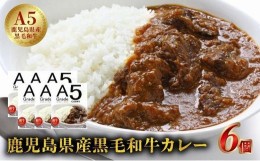 【ふるさと納税】027-91 5等級黒毛和牛カレー ごろごろお肉入り200gx6個