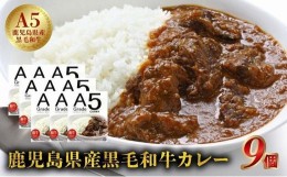 【ふるさと納税】027-92 5等級黒毛和牛カレー ごろごろお肉入り200gx9個