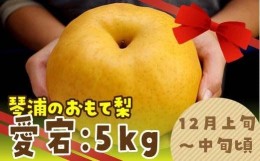 【ふるさと納税】数量限定 鳥取県産梨 愛宕（あたご） 5kg（5〜6玉）