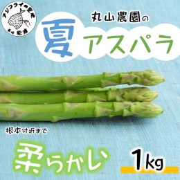 【ふるさと納税】丸山農園の夏アスパラ1kg【B0-162】 アスパラガス アスパラ 野菜 夏野菜 やわらかい 手軽 松浦市