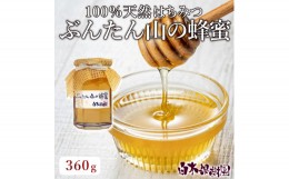 【ふるさと納税】爽やかな香り広がる100%天然蜂蜜 ぶんたん山の蜂蜜 360g はちみつ ハチミツ 高知県産 国産 天然はちみつ 土佐 高知 【白