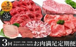 【ふるさと納税】農家のお肉工場直送【3回定期便】鹿児島県産お肉満足定期便 027-94