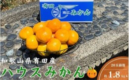 【ふるさと納税】▼【有田産 ハウス みかん】 約1.8kg（20玉前後）※2024年8月下旬〜9月中旬頃順次発送予定 【ymk002-p-1d8】