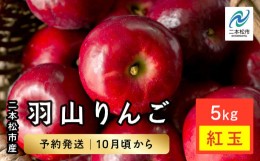 【ふるさと納税】《2024年10月中旬以降発送》羽山のりんご　紅玉5kg【羽山果樹組合】