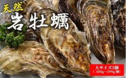 【ふるさと納税】天然岩牡蠣（加熱食用）大サイズ5個入　