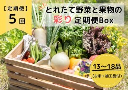 【ふるさと納税】【限定】【定期便5回】とれたて野菜と果物の彩り定期便Box【お米 加工品付き】 13〜18品目の豪華セット ※着日指定不可 