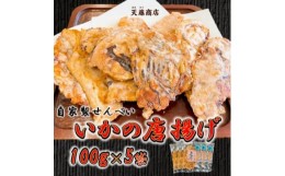 【ふるさと納税】訳あり いか せんべい 100g×5袋 ミネラル水 シママース使用  唐揚げ 天藤商店 自家製