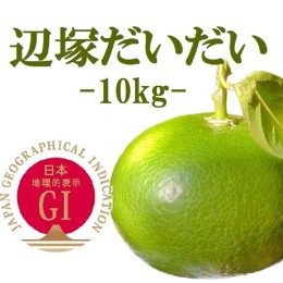 【ふるさと納税】辺塚だいだい 青果 10kg