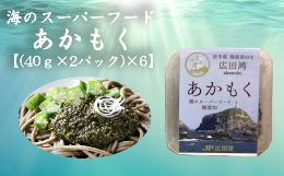 【ふるさと納税】広田湾漁協からお届け！海のスーパーフードあかもく【(40ｇ×2パック)×6】