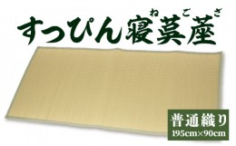 【ふるさと納税】すっぴん寝茣蓙 普通織り 195cm×90cm ねござ 熊本県産