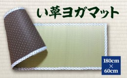 【ふるさと納税】八代市 い草 ヨガマット 180cm×60cm ヨガ 熊本県産