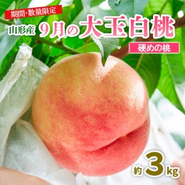 【ふるさと納税】山形9月の大玉白桃 [硬めの桃] 秀品 約3kg 【令和6年産先行予約】FU23-583