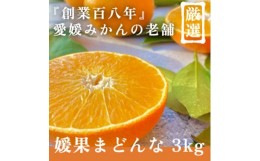 【ふるさと納税】新口農園厳選＜媛果まどんな 3kg＞＜家庭用＞＜C70-7＞【1440809】