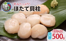 【ふるさと納税】【枝幸ほたて】甘みたっぷり！冷凍ほたて貝柱500g（4Sサイズ）山武水産 北海道 冷凍 貝柱 刺身 大 魚介 海 オホーツク 