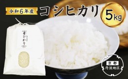 【ふるさと納税】【先行予約・令和6年産】新米 コシヒカリ精米5kg 【 丹波産 精米 白米 特別栽培米 星ひかり れんげ米 星原ファーム 綾部