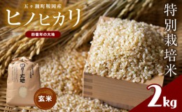 【ふるさと納税】特別栽培米  四億年の大地（ヒノヒカリ玄米） 2kg