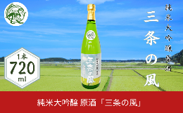 【ふるさと納税】純米大吟醸 原酒「三条の風」 720ml 1本 日本酒 新潟県 数量限定 五百万石を使用 【011S138】