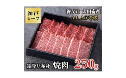 【ふるさと納税】神戸牛　霜降赤身焼肉　250g＜化粧箱＞【1428068】