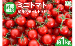 【ふるさと納税】有機栽培ミニトマト　知多アモーレトマト　約1kg ／ とまと 野菜 高糖度 愛知県 特産品