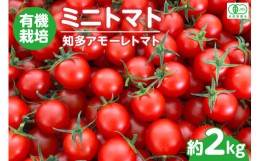 【ふるさと納税】有機栽培ミニトマト　知多アモーレトマト　約2kg ／ とまと 野菜 高糖度 愛知県 特産品