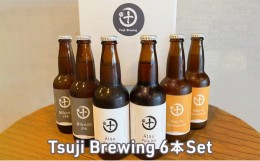 【ふるさと納税】Tsuji Brewing オリジナルクラフトビール 6本セット
