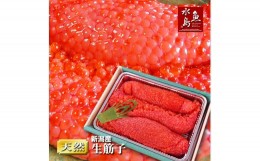 【ふるさと納税】令和6年産 先行予約 生筋子 1kg【 新潟県産 予約 はらこ いくら J41 】