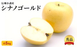 【ふるさと納税】信州小諸産 シナノゴールド 秀品 約5kg 長野県産 果物類 林檎 りんご リンゴ